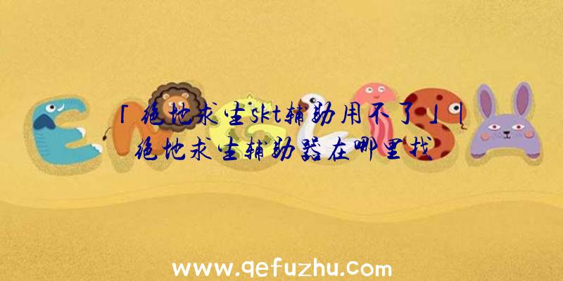 「绝地求生skt辅助用不了」|绝地求生辅助器在哪里找